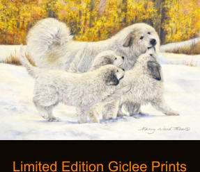 Limited Edition Giclee Prints